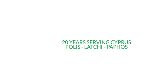 A20 Real Estate logo