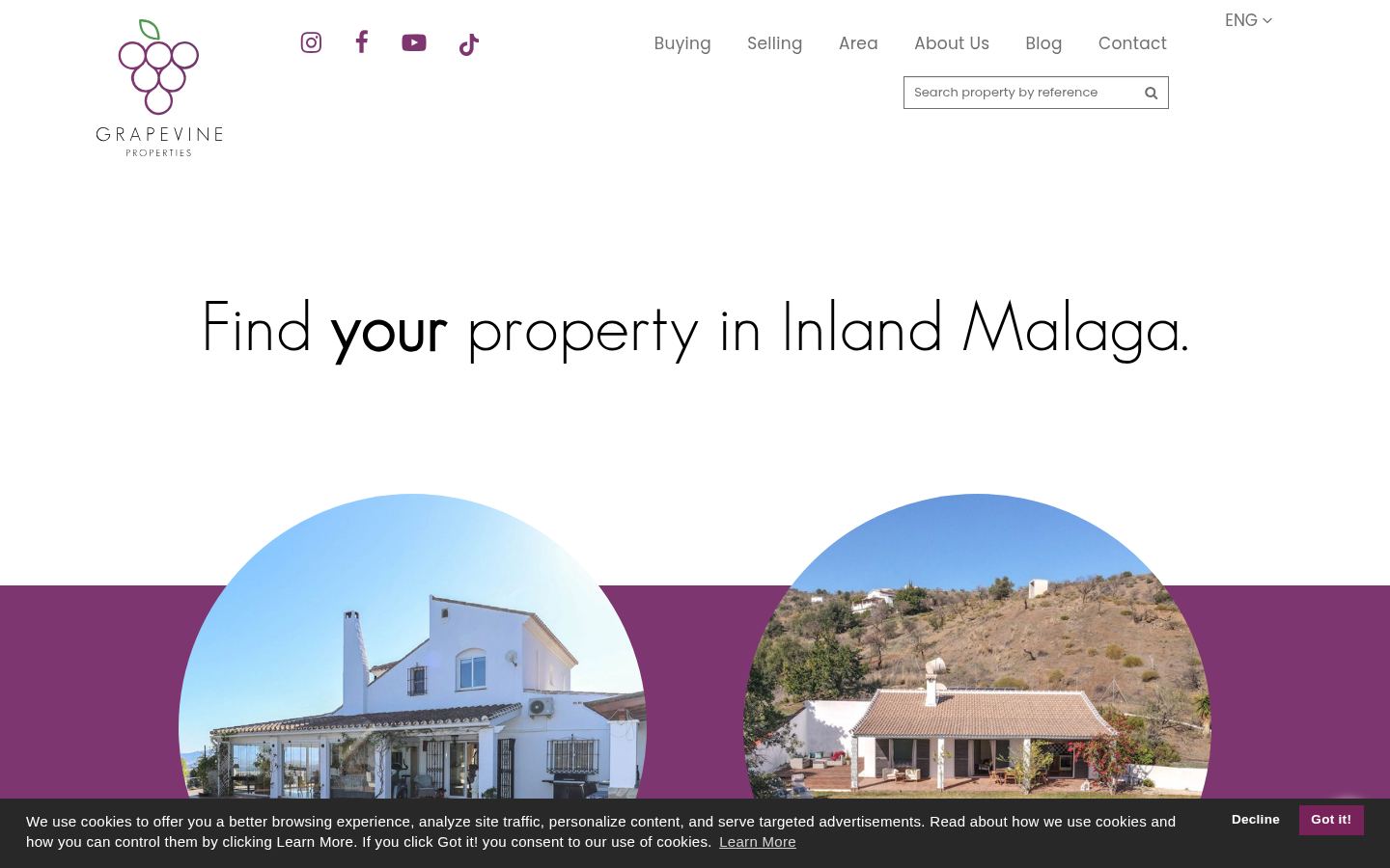 Grapevine Properties SL · HOMEPAGE_SCREENSHOT