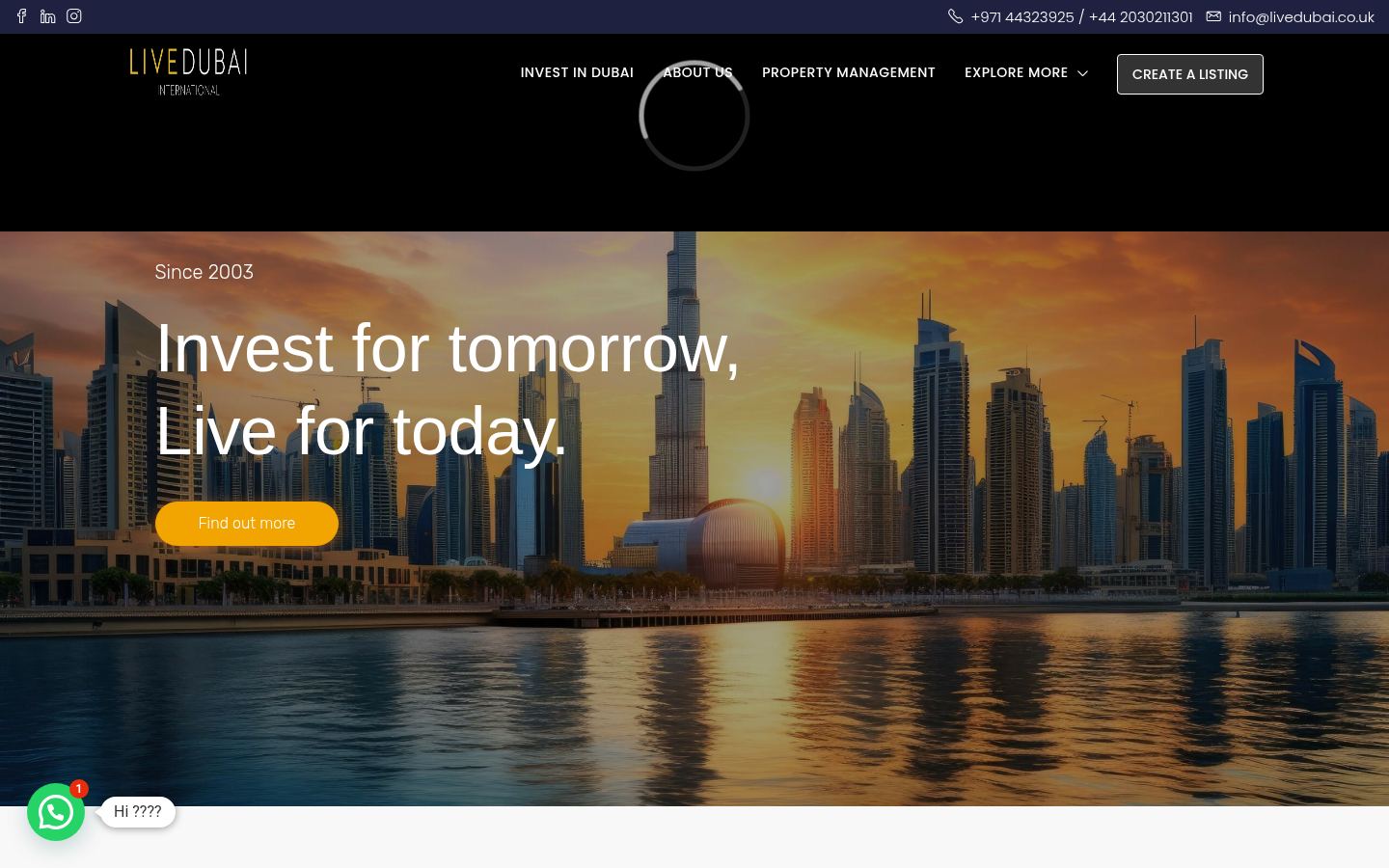 L D I INTERNATIONAL REAL ESTATE BROKERS L.L.C · HOMEPAGE_SCREENSHOT